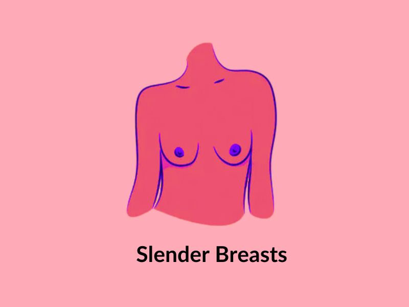 Slender breasts Slender breasts